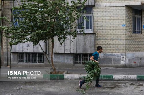 وزش باد خیلی شدید در تهران