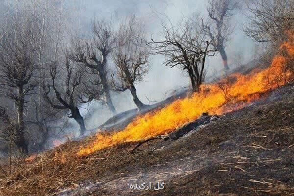 بیشتر از ۳۹۰ هکتار از اراضی و جنگل های خوزستان خسارت دیدند