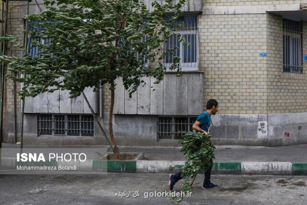 وزش باد خیلی شدید در تهران